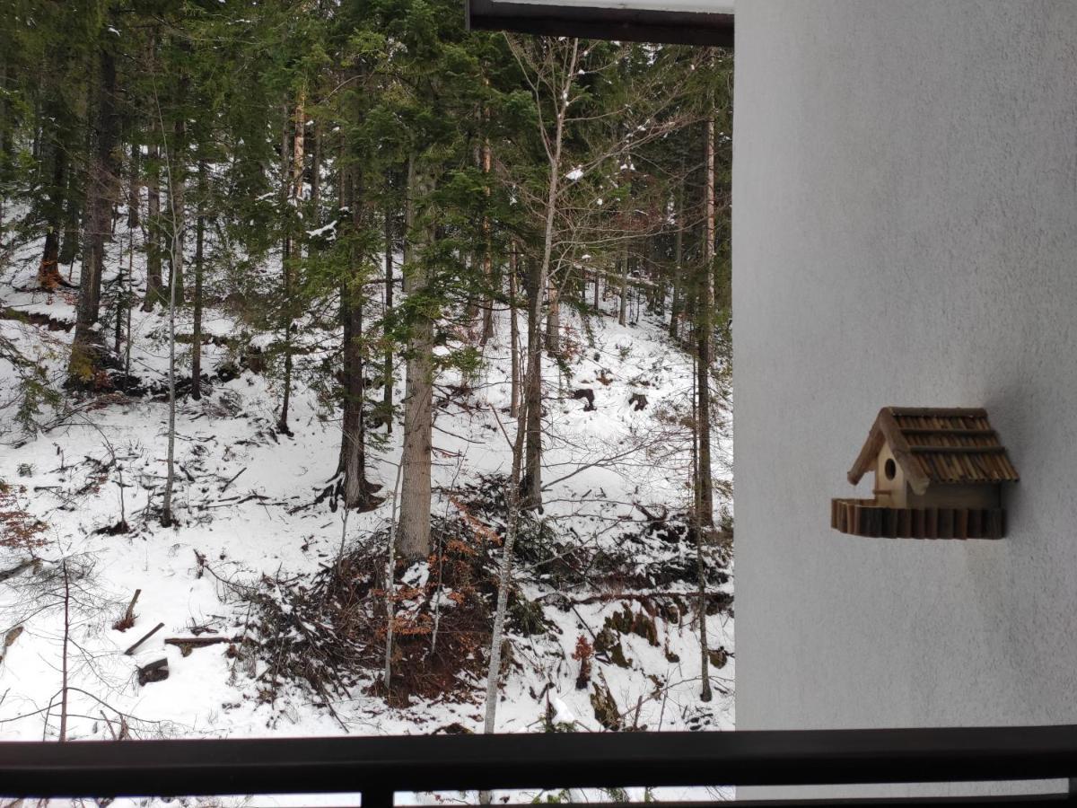 Forest Dream Apartment - Elit Pamporovo Exterior foto