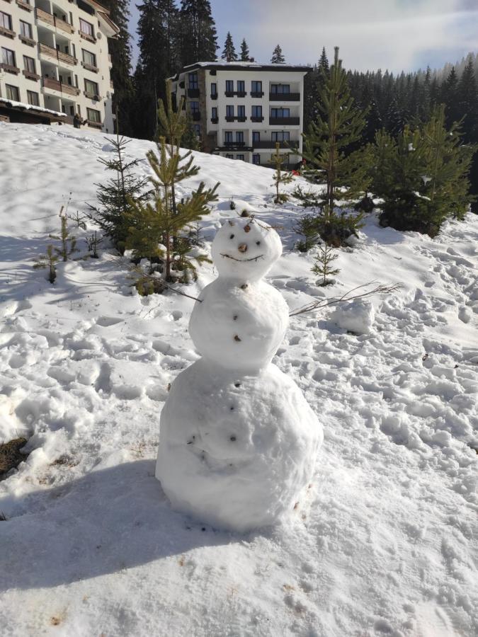 Forest Dream Apartment - Elit Pamporovo Exterior foto