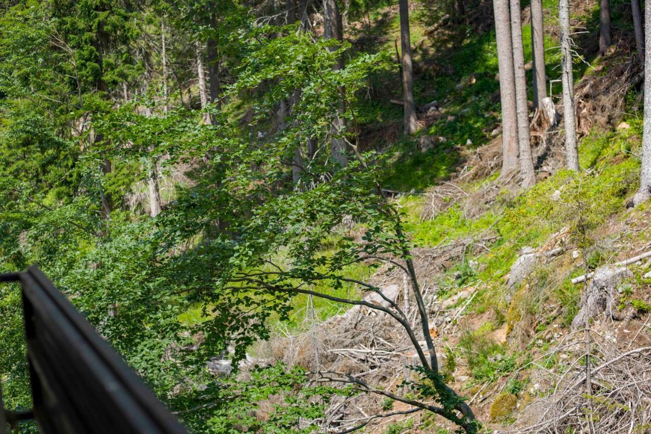 Forest Dream Apartment - Elit Pamporovo Exterior foto